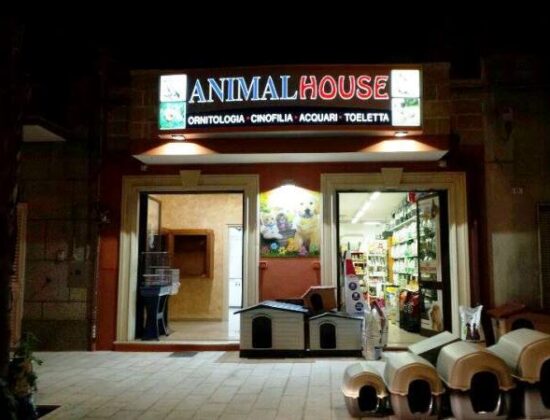 Animal House