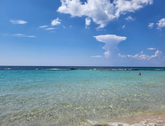 Lido Conchiglie Spiaggia