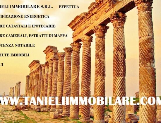 Tanieli Immobiliare S.r.l.