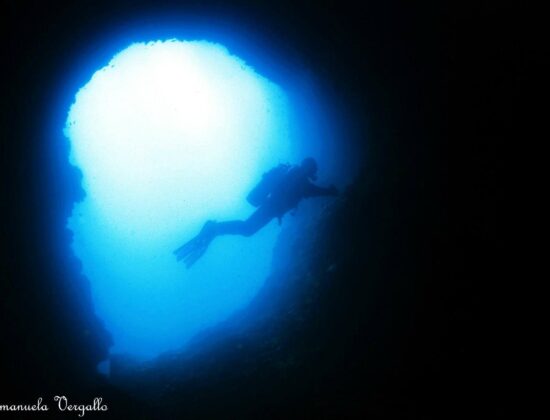 Bluewave Diving